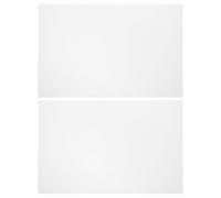 Homoyoyo Feuille Lenticulaire Invisible en Pet Haute Transparence 2pcs pour Tours de Magie, Accessoires de Magicien Pressurés pour Spectacles et Illusions