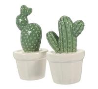 Homoyoyo Figurines De Cactus en Porcelaine 2 Pièces Déco Artisanale Sculptée Peinte à La Main Ornements pour Décoration Intérieure Salon Bureau Chambre