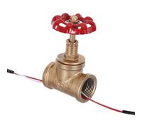 Homoyoyo Interrupteur à Vanne Vintage pour Lampe de Table Steampunk en Fer 3/4 Pouces avec Câble Double Sortie, Accessoire Électrique pour Lampe de Bureau, Usage Domestique et
