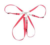 Homoyoyo Laisse pour Chien Réglable avec Coupler Triple Laisse Entraînement pour Chiots Nylon Durable Rouge