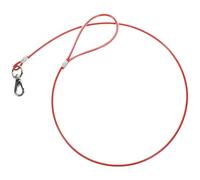 Homoyoyo Laisse pour Petits Chiens Résistante aux Morsures en Acier et Plastique, Confortable à Porter, Promenades en Extérieur en Hiver