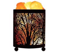 Homoyoyo Lampe De Sel Veilleuse En Fer Forgé Décorative, Petite Lampe De Table Pour Bureau Et Chambre, Éclairage D’appoint Originale Avec Ampoule, Kit Prêt à L’emploi Ac220