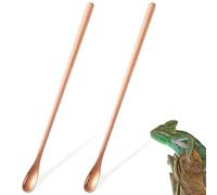 Homoyoyo Lot de 2 Cuillères Alimentaires pour Reptiles 19 CM en Acier Inoxydable Rose Gold Cuillères Doseuses pour Lézards et Petits Animaux Accessoire Pratique pour Alimentation Humide