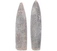 Homoyoyo Lot de 2 Spécimens Naturels de Bélemnite 5-6 Cm pour Éducation Scientifique et Décoration, Fossiles Véritables en Minéraux, Échantillons Authentiques pour Études de Paléontologie