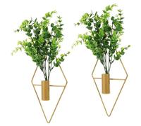 Homoyoyo Lot de 2 Supports Muraux en Fer Doré à Forme Géométrique avec Plantes Artificielles D'eucalyptus, Pot de Fleurs Suspendu Décoratif pour Jardin Intérieur et Extérieur, Support