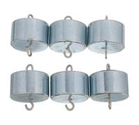 Homoyoyo Lot de 6 Set de Poids D'étalonnage 100g en Fer avec Double Crochet, Ensemble de Petits Poids de Laboratoire Précis pour Balance Numérique, Pesée et Expériences Scientifiques