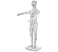Homoyoyo Modèle D'acupuncture Corporelle Masculin Blanc, Mannequin Éducatif des Points D'acupuncture et Méridiens, Outil de Massage des Points de Pression Précis, Modèle Pédagogique