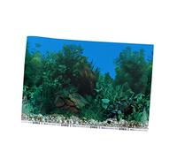Homoyoyo Papier Peint Autocollant pour Aquarium Décoratif - Fond sous-Marin Adhésif Double Face 42x30 Cm Image Réaliste pour Créer Un Écosystème Aquatique Éblouissant