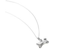 Homoyoyo Pendentif Cendres Collier Souvenir Cendres Récipient à Pour Porter Au Cou Pendentif Commémoratif