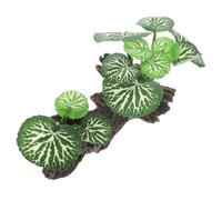 Homoyoyo Plante Artificielle pour Reptiles Décorative en Résine Transparente, Taille Moyenne, Décor de Terrarium et Aquarium, Ornement Végétal D’aménagement Paysager, Adapté aux Reptiles