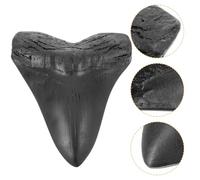 Homoyoyo Réplique Dents de Requin Mégalodon Décorative Modèle Préhistorique pour Enseignement et Ornement