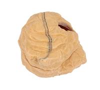 Homoyoyo Reptile Cave Cachette Évasion s Texture Aléatoire Résistante Antidérapante pour Lézards Et Arthropodes