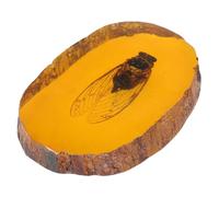 Homoyoyo Spécimen d'Insecte en Ambre Artificiel, Pierre d'Ambre Unique Cigale, Décoration Scientifique et Ornement Éducatif pour Collection Naturelle, Accessoire Fossile Éducatif