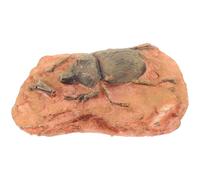 Homoyoyo Spécimen Paléontologique Décoratif D’insecte Fossile, Petit Format, Matériau Sûr, pour Enseignement Scientifique et Collection, Décor Naturel pour Boîte à Reptiles Désert,