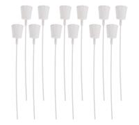 Homoyoyo Supports Détachables pour Mini Bouquets de Succulentes 12 Pièces Blanc Outils D’Assemblage et Fournitures pour Création de Fleur DIY sans Terre Adaptés aux Compositions Compactes