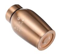 Homoyoyo Urne Funéraire Matériau Résistant en Acier Inoxydable Urne pour Animaux de Compagnie, Souvenir Solide pour Cendres de Chien et Chat et Compatible Famille Aimante des Animaux