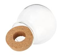 Homoyoyo Vase en Verre Rond pour Plantes Hydroponiques - Terrarium Végétal D’intérieur pour Bureau Et Maison - 10 Cm - Récipient Transparent pour Propagation D’Eau - Décoration Minimaliste Artistique