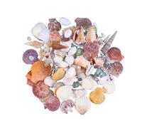 HOMSFOU 130 pièces Coquillages de Plage Naturels Ensemble de Mini Coquillages Non Porous pour Décorations Nautiques Remplissage de Vases Fêtes à Thème Plage et Mariages