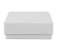 HOMSFOU 81grille Cryogenic Storage Box Freezer Holder Résistant au Froid pour Tubes à Microcentrifuge Boîte de Rangement Labo avec Fermeture à Clip pour Conservation de Sondes