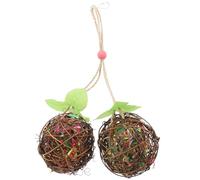 HOMSFOU Balle à Mâcher pour Perroquet Résistante à l'usure, Suspendu pour Cage d'oiseaux, Accessoire Ludique et Solide pour Perruche Ondulée et Calopsitte, 1 Pièce