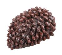 HOMSFOU Boîte de Rangement Clé Forme de Cône de Pin Cache Clé Décoratif pour Jardin Sécurité Discrète et Étanche de Rangement pour Maison et Extérieur