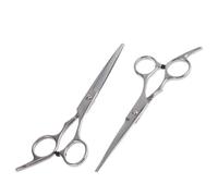 HOMSFOU Ciseaux de Coiffure et Faciles à Transporter en Acier Inoxydable Lot de 2 Argentés, Ciseaux de Coupe et Effileur Légers pour Cheveux pour Usage Professionnel et