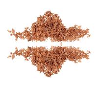 HOMSFOU Copeaux de cèdre pour cigares 60 g pour cave à cigares protection sanitaire pour armoire et rangement des vêtements