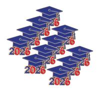 HOMSFOU Lot de 10 Broches de Remise de Diplôme 2026 en Métal Léger, Épingle Décorative de Chapeau de Diplômé et Livre, Accessoire pour Fête de Fin D’études et Présent Bachelier,
