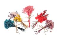 HOMSFOU Mini Bouquets de Fleurs Séchées Fleurs Éternelles Naturelles Lot de 5 pour Décoration Maison et Bricolage pour Présents et Créations DIY