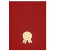 HOMSFOU Porte-certificat Papier, Dossier de Présentation A4, Couverture de Prix, Protège et Présente les Certificats, Diplômes de Fin D’études, pour Bureau et Boutique