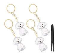 HOMSFOU Porte-clés Souvenir en Poils D’Animaux Transparent 5 Pièces avec 4 Flacons et 1 Pince à Épiler, Médaillon Commémoratif pour Chiens, Rangement Portable pour Poils Animaux, Présent