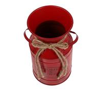 HOMSFOU Seau À Fleurs Style Européen en Fer 7.48X4.72X3.94 Pouces Pot De Fleur Vintage pour Décoration Maison Balcon avec Arrangement De Fleurs Séchées