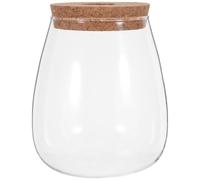 HOMSFOU Vase de Propagation en Verre, Bocal en Verre Multiplication des Plantes, avec Bouchon en Liège et Plateau en Bambou, pour Boutures et Plantes, Bureau et Occasions Spéciales