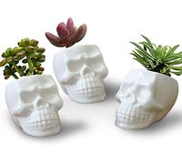 HOMSPE Lot de 3 pots en céramique avec motif tête de mort pour plantes succulentes - Pot à crayons - Décoration pour la maison, le bureau, la chambre à coucher, le bureau (blanc)