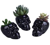 HOMSPE Lot de 3 pots en céramique avec motif tête de mort pour plantes succulentes - Pot à crayons - Décoration pour la maison, le bureau, la chambre à coucher, le bureau (noir)
