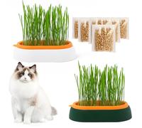 HOMURY Kit de croissance de plateau d'herbe à chat : 2 pièces hydroponiques pour chat et chien en polypropylène