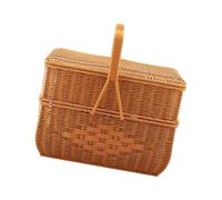 Homyl Double Couche avec Poignées et Couvercle, Tressé Polyvalent