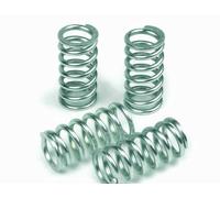 Honda CB 250 RSZ 1982-1984 Kit De Ressorts D'Embrayage TRW MEF109-6