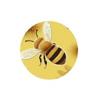 Honey Bee2 Lot de 6 désodorisants de voiture amusants à suspendre pour voiture - Mignon et durable - Décoration à suspendre - Cadeau - Accessoires de décoration d'intérieur pour homme et femme