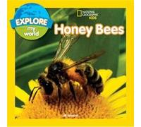Honey Bees Jill Esbaum, (Auteur)