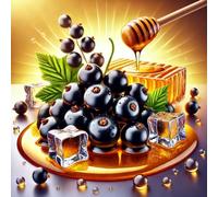 Honey Black Ice - cassis noir, miel Ice arôme concentré - Vegan - Sasami - 10 ml