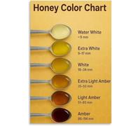 Honey Color Gradient Poster Educational Wall Art Decor | Shows light to dark shades for identifying nectar sources(Unframed,12x18inch(30x45cm))