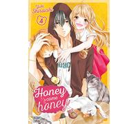 Honey come honey T04
