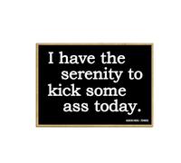 Honey Dew Gifts, I Have The Serenity to Kick Some Ass Today, 6,3 cm x 8,9 cm, décorations humoristiques pour casier, aimants sarcastiques de réfrigérateur, aimants décoratifs, cadeaux amusants et
