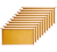 Honey Lake Kit de 10 cadres et fondations en forme de ruche profonds et fond de teint en plastique trempé à la cire d'abeille naturelle pour apiculture