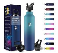 HoneyHolly Bouteille Isotherme 1L, étanche sans BPA, Gourde Isotherme, Double Paroi, Gourde Metal, 18/8 Acier Inoxydable, Gourde Inox, avec Paille, Bouteille d'eau pour Sport, Randonnée, Bureau