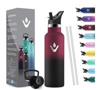 HoneyHolly Bouteille Isotherme 500ml, Gourde INOX avec Paille, Bouteille d'eau sans BPA, Réutilisable, Anti-Fuite, Isolation sous Vide en Acier Inoxydable à Double Paroi, pour Enfants, Adultes, Sport