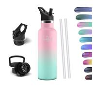 HoneyHolly Bouteille Isotherme 500ml, Gourde INOX avec Paille, Bouteille d'eau sans BPA, Réutilisable, Anti-Fuite, Isolation sous Vide en Acier Inoxydable à Double Paroi, pour Enfants, Adultes, Sport