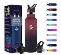 HoneyHolly Gourde Isotherme 500 ML, Gourde INOX avec Paille, Bouteille d'eau sans BPA, Réutilisable, Anti-Fuite, Isolation sous Vide en Acier Inoxydable à Double Paroi, pour Enfants, Adultes, Sport