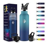 HoneyHolly Gourde Isotherme 500 ML, Gourde INOX avec Paille, Bouteille d'eau sans BPA, Réutilisable, Anti-Fuite, Isolation sous Vide en Acier Inoxydable à Double Paroi, pour Enfants, Adultes, Sport